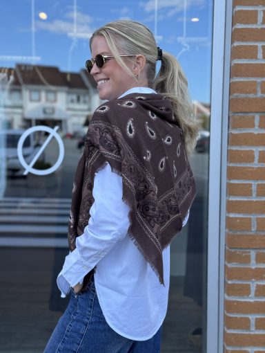 FPWL Scarf Paisley E-68020 Brown